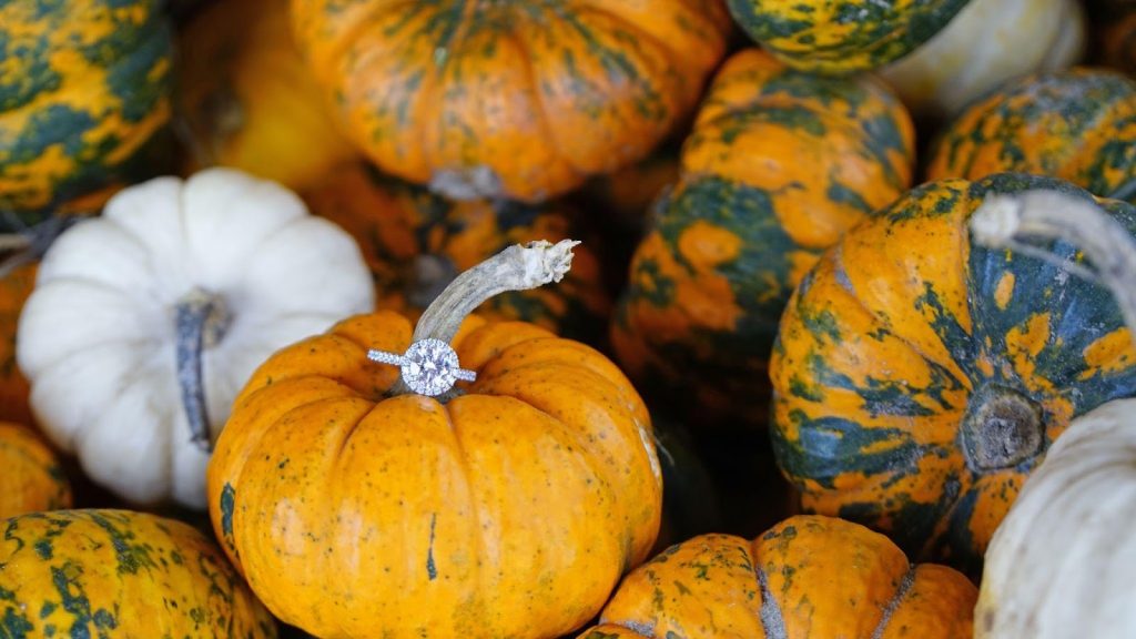 7 Tips for Planning a Fall Proposal